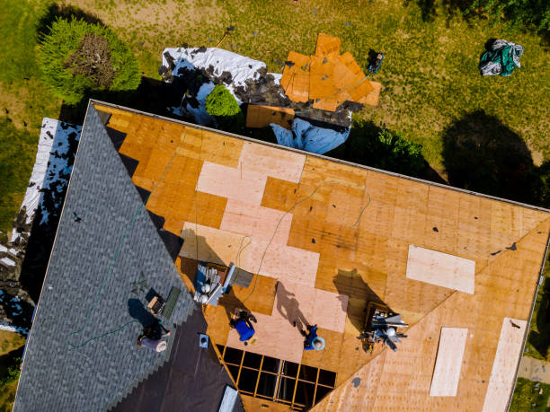 Best Roof Maintenance Services  in Five Points, NC