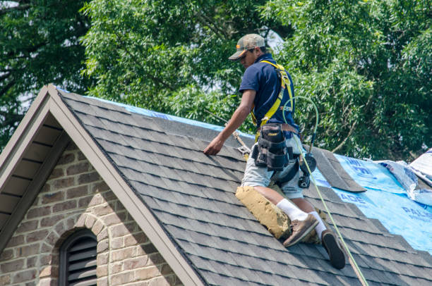 Best Storm Damage Roof Repair  in Five Points, NC